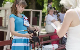 В Севастополе за медали и кубки боролись «лучшие друзья человека»