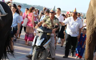 Слониха Лила отпраздновала свой день рождения в Севастополе