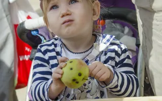 В Севастополе отметили Яблочный спас