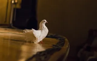 В Севастополе состоялся Фестиваль актёрской песни