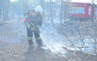 В Севастополе горело поле возле Монастырского шоссе