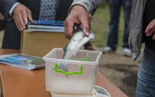 В Севастополе состоялся чемпионат по подводной охоте