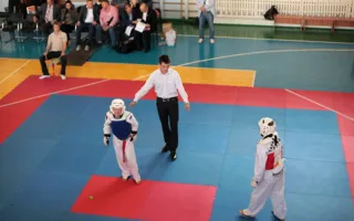 В Севастополе прошёл турнир по тхэквондо памяти бойцов «Альфы»