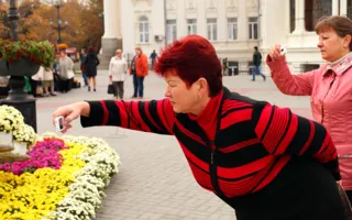 В Севастополе началась осенняя ярмарка цветов «Бал хризантем»