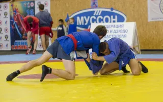 В Севастополе отметили Всероссийский день самбо