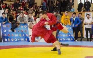В Севастополе отметили Всероссийский день самбо