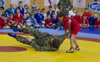 В Севастополе отметили Всероссийский день самбо