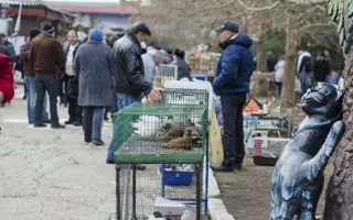 В «Лукоморье» состоялась выставка пернатых