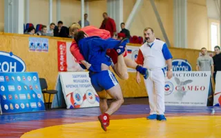 Севастопольские самбисты доказали своё мастерство