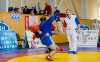 Севастопольские самбисты доказали своё мастерство