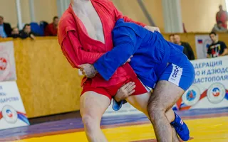 Севастопольские самбисты доказали своё мастерство