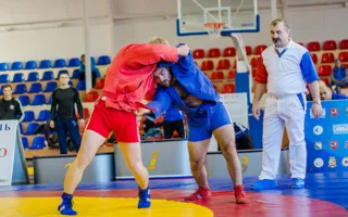 Севастопольские самбисты доказали своё мастерство