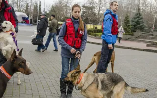В Севастополе состоялась выставка пожарной техники