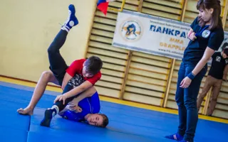 В Севастополе состоялось открытое первенство по спортивной борьбе