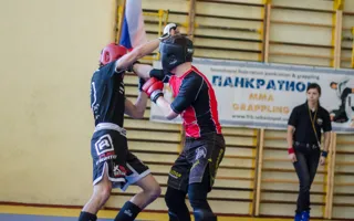 В Севастополе состоялось открытое первенство по спортивной борьбе