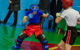Состоялся открытый чемпионат Севастополя по панкратиону