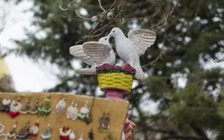 В экопарке «Лукоморье» отмечают День влюблённых