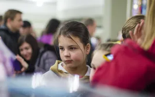 Прошла «мурлыкающая» выставка «Валентинка для кота»