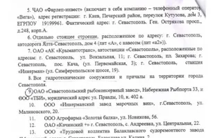 Меняйло о национализации: «Мы не отнимаем чужое». Перечень объектов