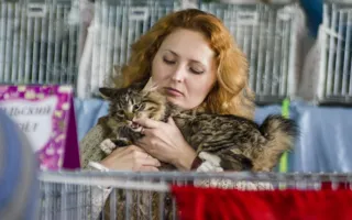 День кошек в Севастополе отметили «хвостатой» выставкой