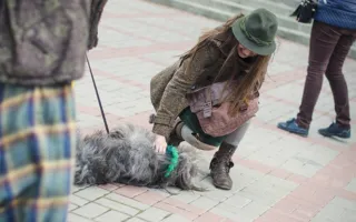 В Севастополе в День Святого Патрика состоялся «зелёный» парад