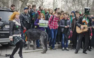 В Севастополе в День Святого Патрика состоялся «зелёный» парад