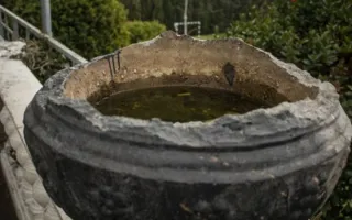 Форосский парк нуждается в реконструкции