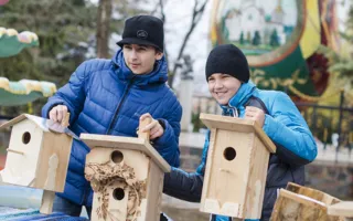В «Лукоморье» подвели итоги конкурса скворечников 