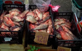 В Гагаринском районе выявили несанкционированных торговцев