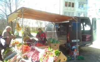 В Гагаринском районе выявили несанкционированных торговцев