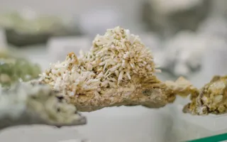 В Севастополе открылся Музей камня