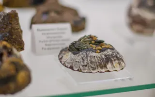В Севастополе открылся Музей камня