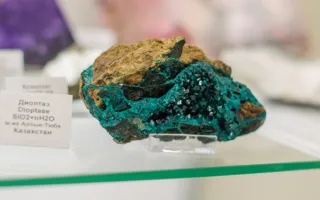 В Севастополе открылся Музей камня