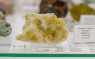 В Севастополе открылся Музей камня