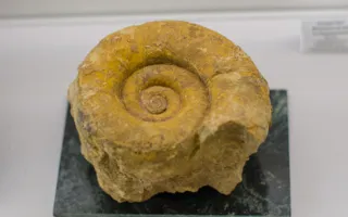 В Севастополе открылся Музей камня