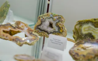 В Севастополе открылся Музей камня