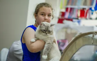 В Севастополе состоялась международная выставка кошек