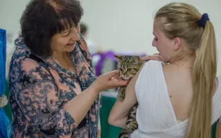 В Севастополе состоялась международная выставка кошек