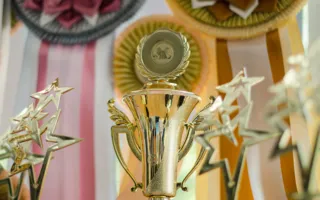 В Севастополе состоялась международная выставка кошек