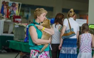 В Севастополе состоялась международная выставка кошек