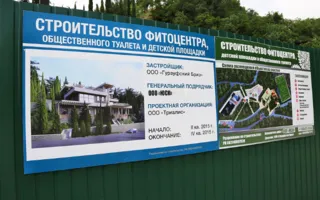 Скандальная вырубка ценных деревьев в Гурзуфе остановлена 