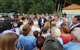 Скандальная вырубка ценных деревьев в Гурзуфе остановлена 