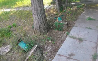 Жители Севастополя жалуются на неблагоустроенность города