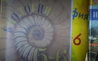 ​Севастопольские школьники получат учебники «по наследству»