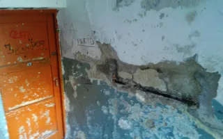 «Тихий ужас» севастопольского подъезда привёл в шок блогера
