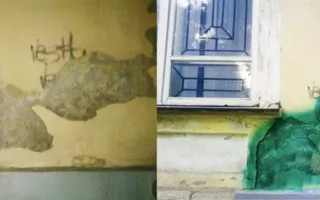 В Симферополе стены и дороги «лечат» «зелёнкой»