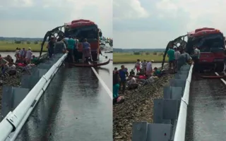 ​В России столкнулись автобусы: 16 человек погибли