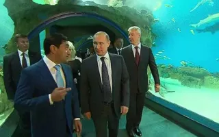 В Москве создан уникальный океанариум