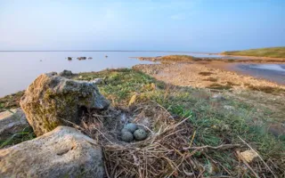 Неизвестный Крым: Самое солёное розовое озеро