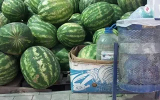 На проспекте Победы торговцы устроили «арбузный произвол»